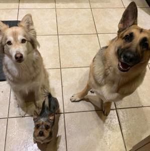 Meet your Posher, Shaylyn